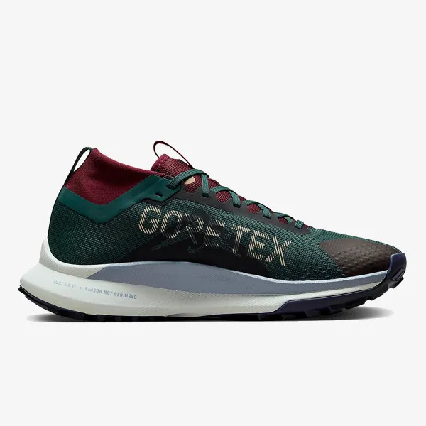 Nike Tenisice Pegasus Trail 4 GORE-TEX 