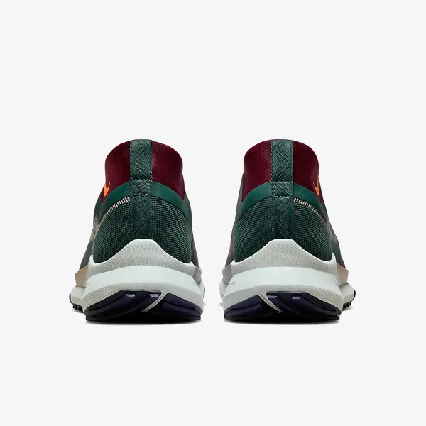Nike Pegasus Trail 4 GORE-TEX 