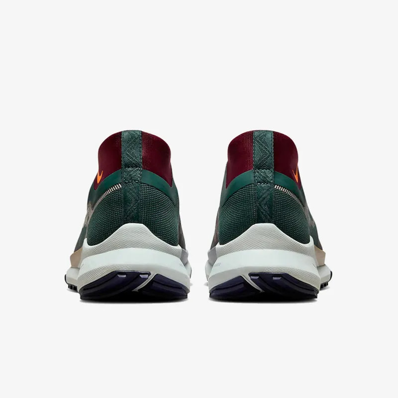 Nike Pegasus Trail 4 GORE-TEX 