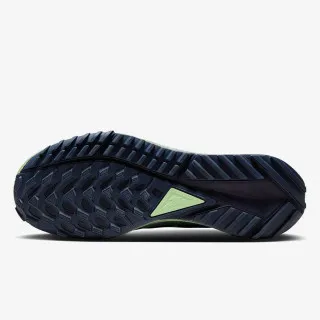 Nike Pegasus Trail 4 Gore-Tex 