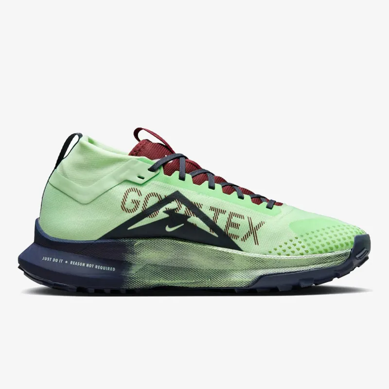 Nike Pegasus Trail 4 Gore-Tex 