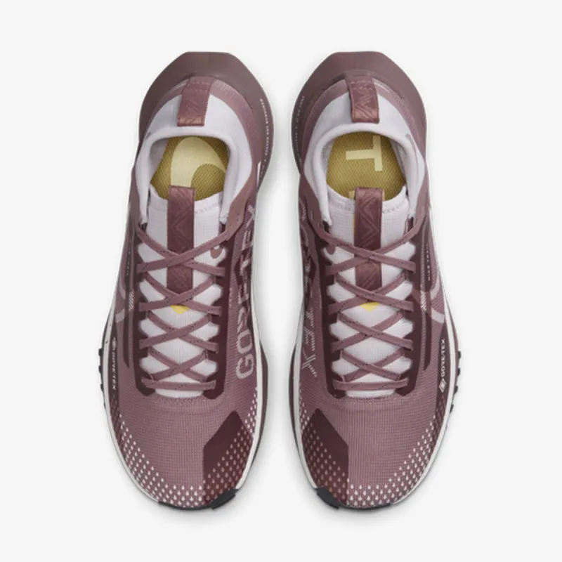 Nike Tenisice Pegasus Trail 4 Gore-Tex 