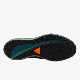 Nike Tenisice Winflo 9 Shield 
