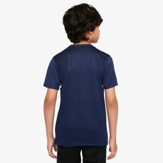 Nike Paris Saint-Germain Academy Pro 
