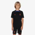 Nike Paris Saint-Germain 
