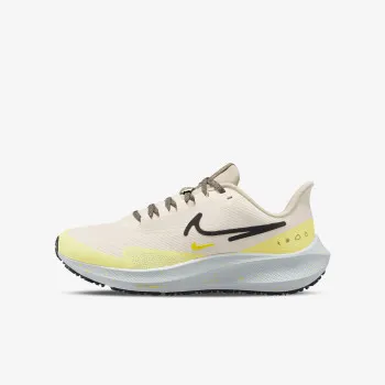 W AIR ZOOM PEGASUS SHIELD