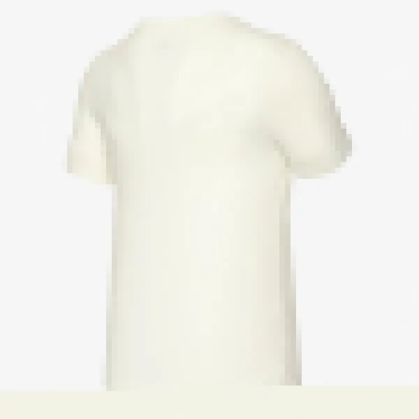 Nike Giannis Nike Dri-FIT 