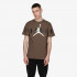 NIKE T-SHIRT Jordan Air 
