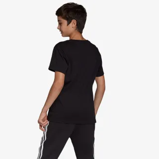 adidas TREFOIL TEE 