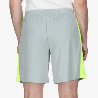 Nike Academy 