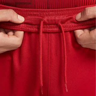 Nike LFC M NK DF STAD SHORT HM