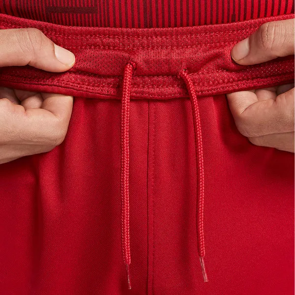 Nike LFC M NK DF STAD SHORT HM