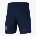 Nike Paris Saint-Germain Stadium 