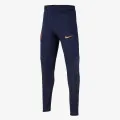Nike Paris Saint-Germain Strike 