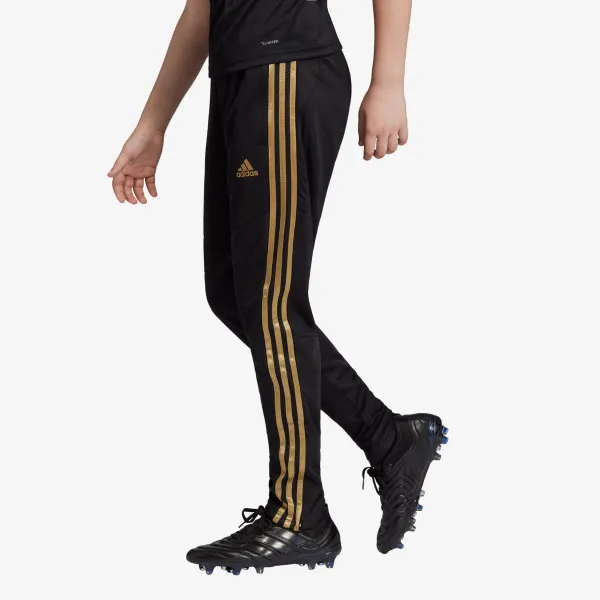 adidas REAL TR PNT Y 