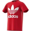 adidas TREFOIL TEE 