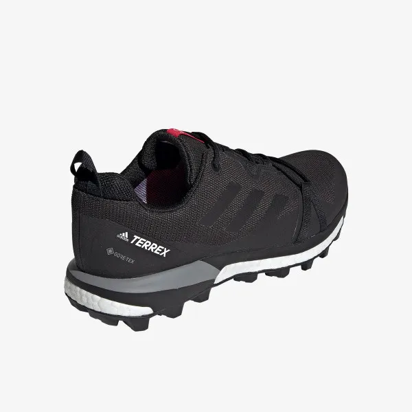 adidas Tenisice TERREX SKYCHASER LT GTX W 