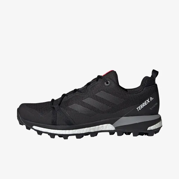 adidas Tenisice TERREX SKYCHASER LT GTX W 