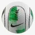 Nike Liverpool Academy 