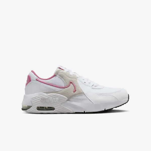 Nike Tenisice Air Max Excee 