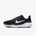 Nike Air Zoom Pegasus 41 