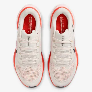 Nike Air Zoom Pegasus 41 