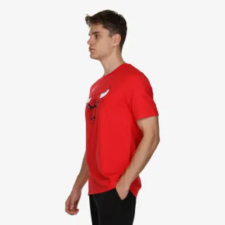 Nike Chicago Bulls 