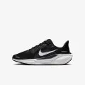 Nike Air Zoom Pegasus 40 