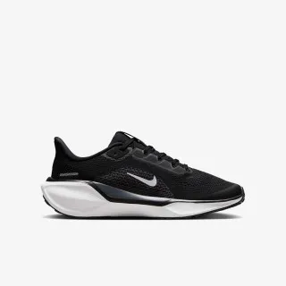 Nike Air Zoom Pegasus 40 