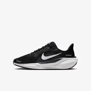 Nike Air Zoom Pegasus 40 