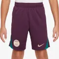 Nike Paris Saint-Germain 