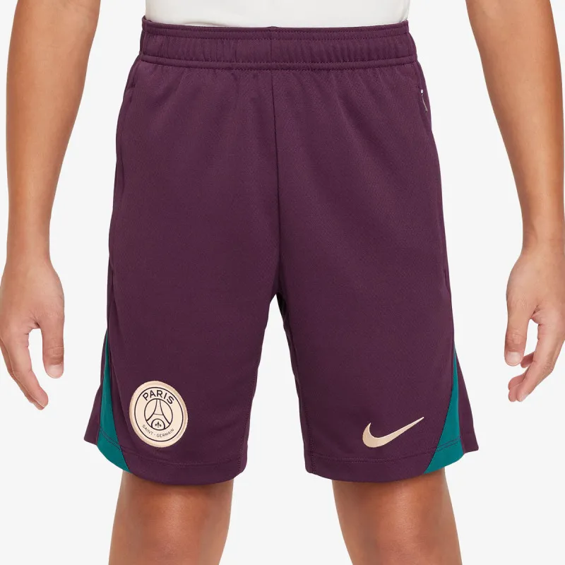Nike Paris Saint-Germain 