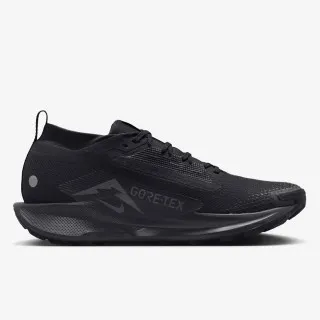 Nike Pegasus Trail 5 Gore-tex 