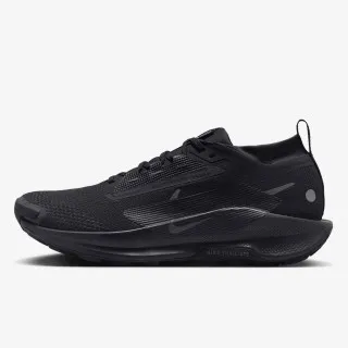 Nike Pegasus Trail 5 Gore-tex 