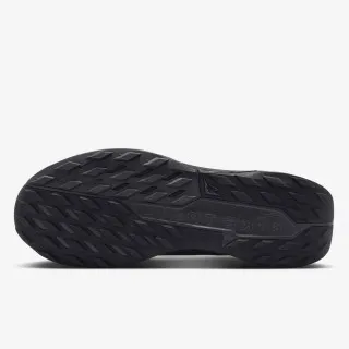 Nike Pegasus Trail 5 Gore-tex 