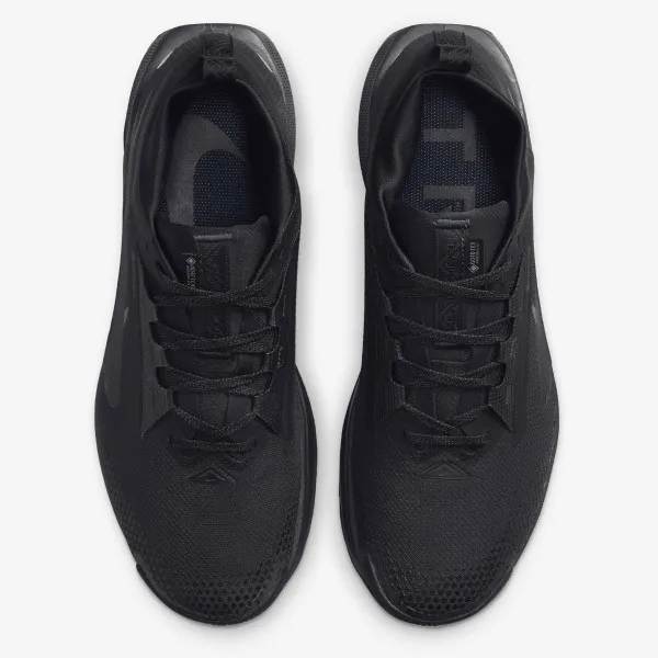 Nike Pegasus Trail 5 Gore-tex 