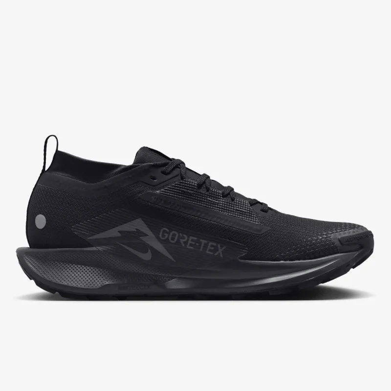 Nike Pegasus Trail 5 Gore-tex 