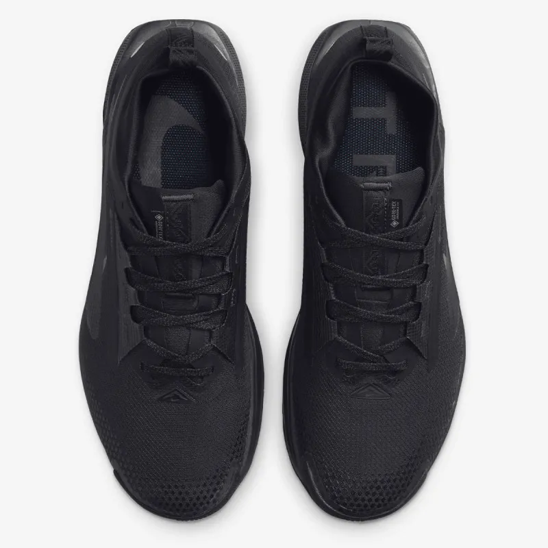 Nike Pegasus Trail 5 Gore-tex 