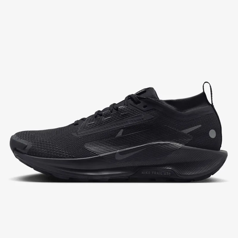 Nike Pegasus Trail 5 Gore-tex 