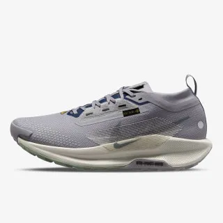 Nike Pegasus Trail 5 Gore-tex 