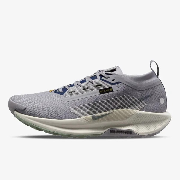 Nike Pegasus Trail 5 Gore-tex 