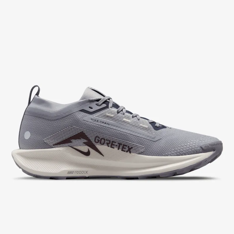 Nike Pegasus Trail 5 Gore-tex 