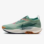Nike Pegasus Trail 5 Gore-tex 