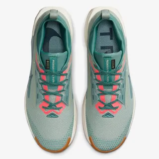 Nike Pegasus Trail 5 Gore-tex 