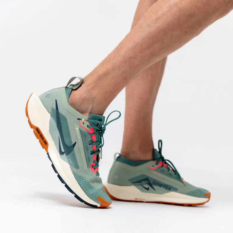 Nike Pegasus Trail 5 Gore-tex 