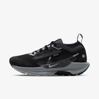 Nike Pegasus Trail 5 Gtx 