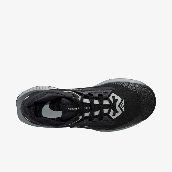 Nike Pegasus Trail 5 Gtx 