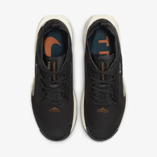 Nike Pegasus Trail 5 Gtx 