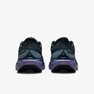 Nike AIR ZM PEGASUS 41 GTX 