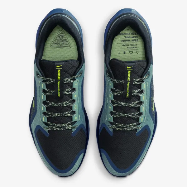 Nike AIR ZM PEGASUS 41 GTX 